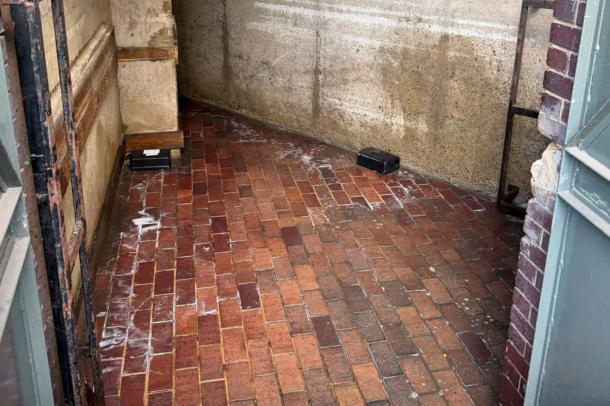 bin store deep clean and disinfect, London